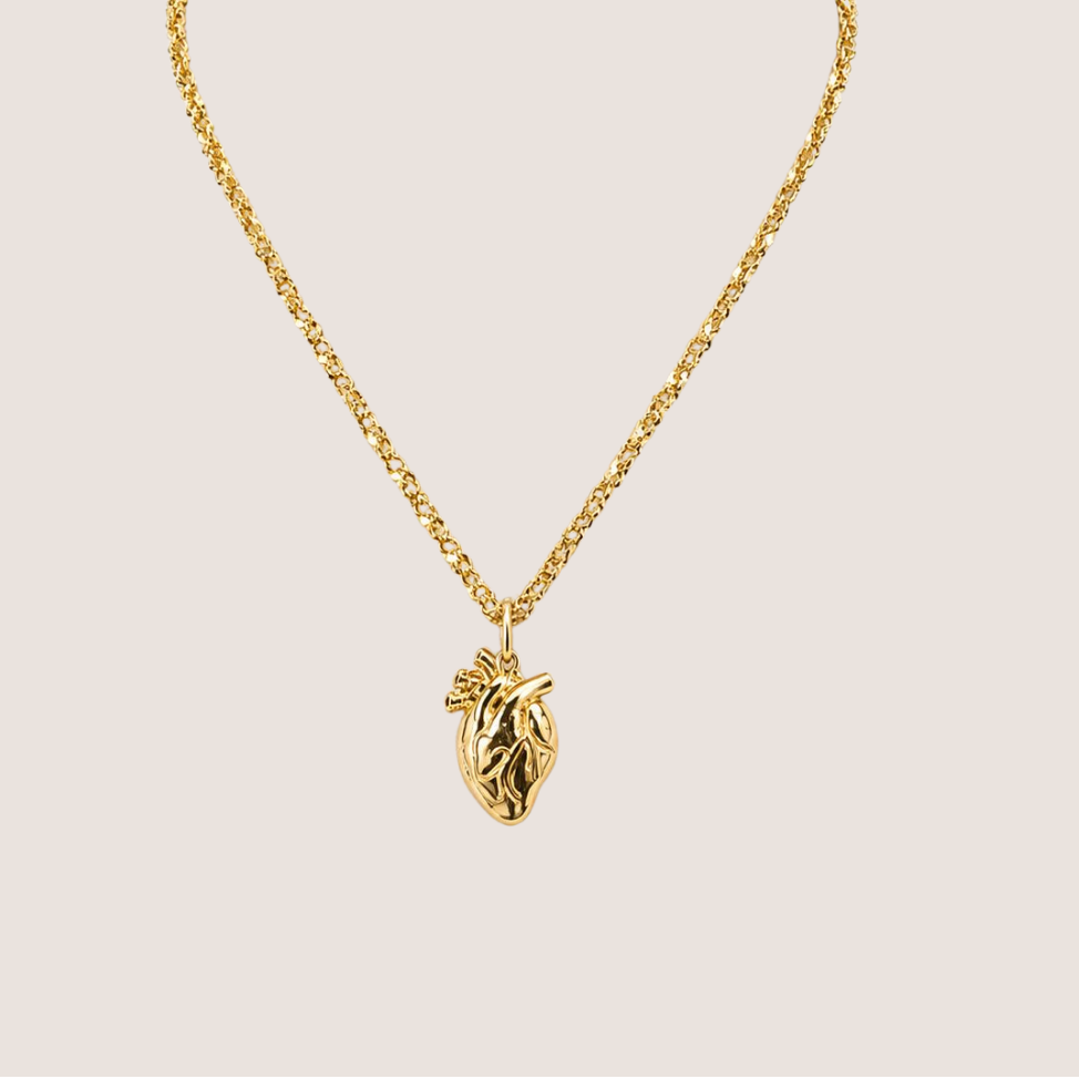 Human Heart